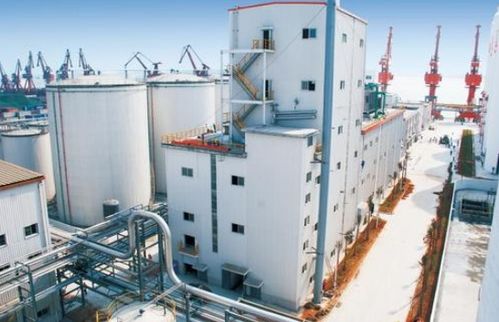 油脂厂有害气体监测与预防 气体检测仪及软件产品检验检测的关键作用